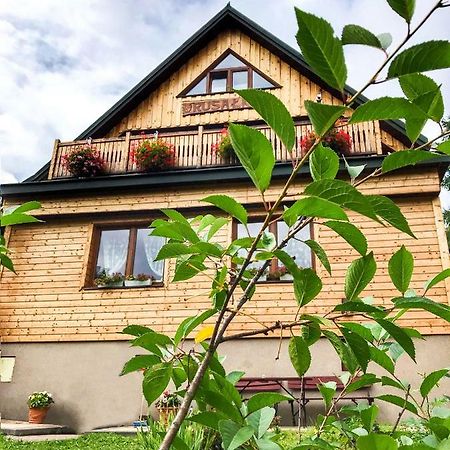 Rusalka Krynica-Zdrój Extérieur photo